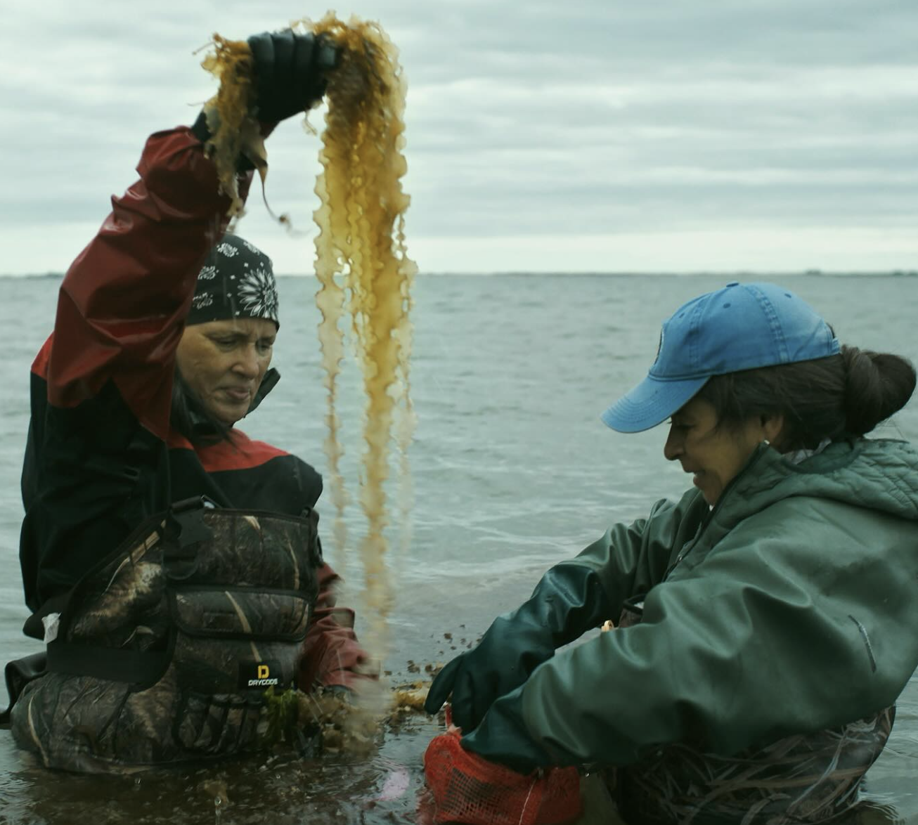 Screenshot 2025-09-22 at 1.20.42 PM.png